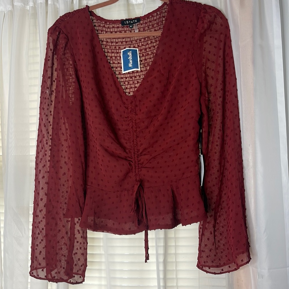 Swiss dot sheer sleeve Blouse